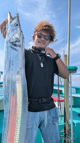 タチウオの釣果