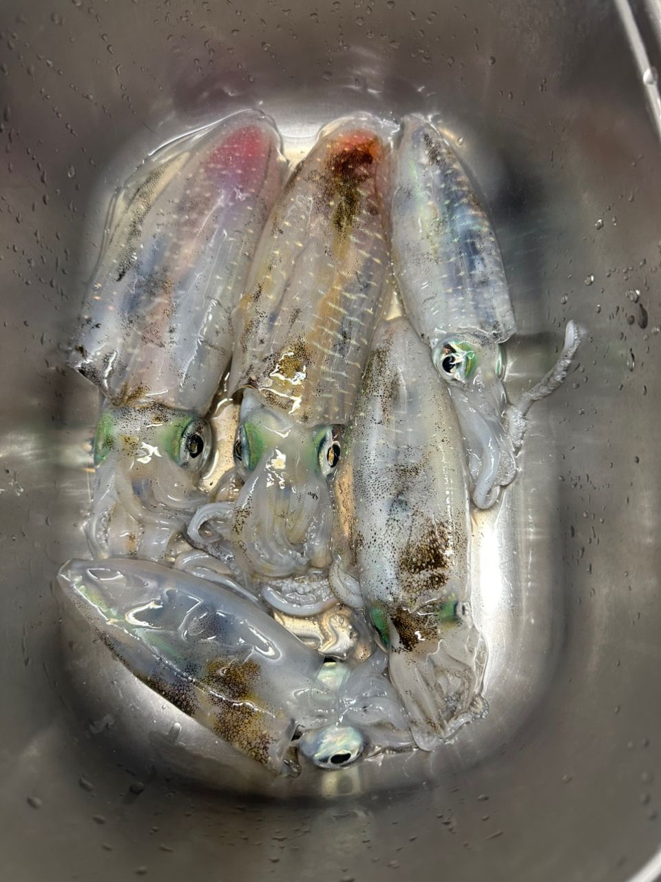 UOKINさんの釣果 1枚目の画像