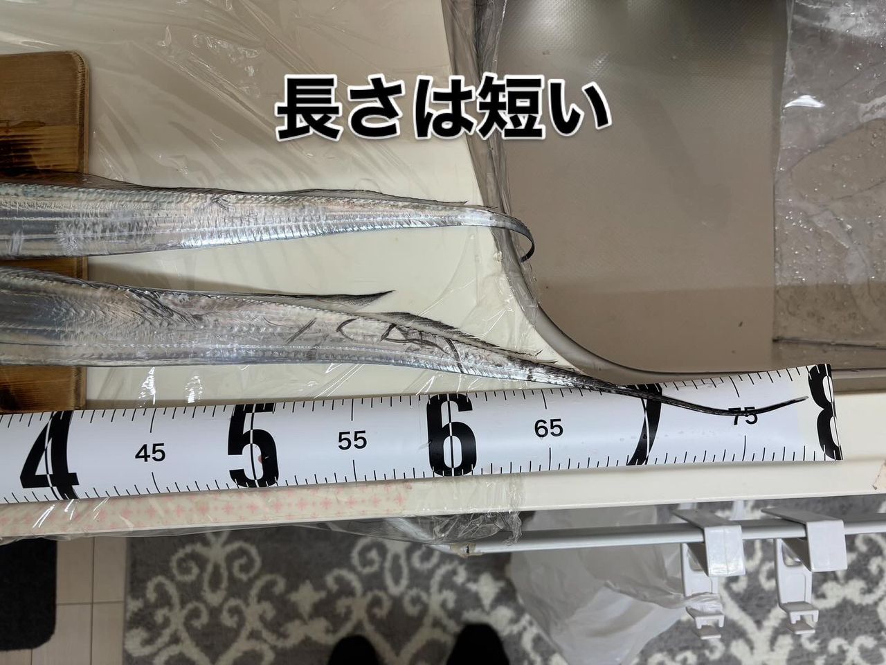 タチウオ