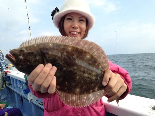 ヒラメの釣果