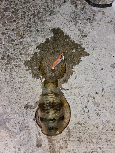 堂ノ浦