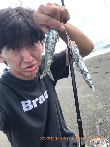 平塚サーフ