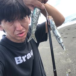 ウルメイワシ