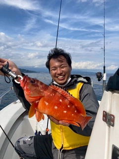 アカハタの釣果