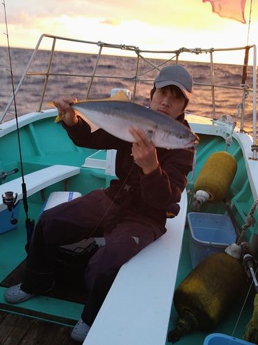 ワラサの釣果
