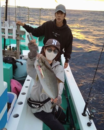 ヒレナガカンパチの釣果