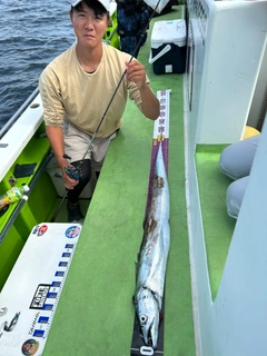 タチウオの釣果
