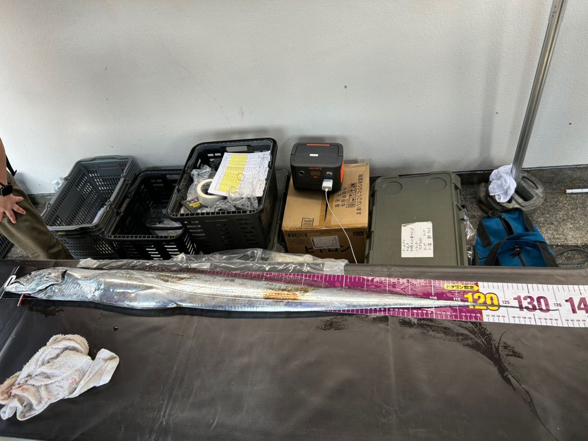 みき0110さんの釣果 2枚目の画像