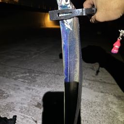 タチウオ