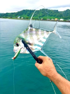 イトヒキアジの釣果