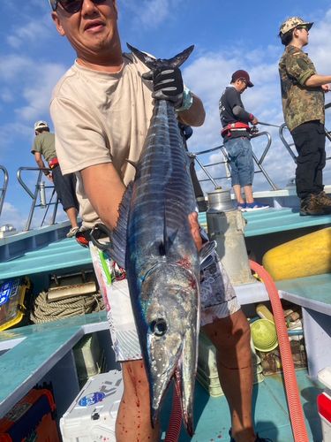 駿河湾