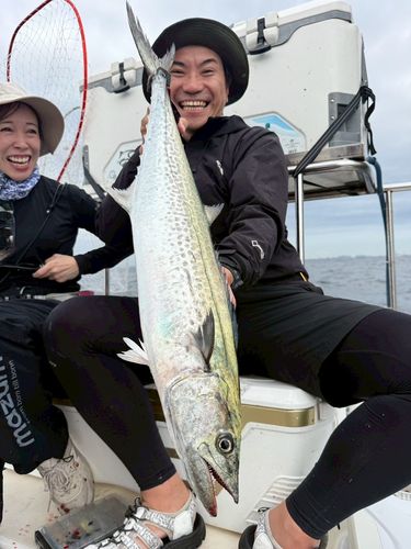 サワラの釣果