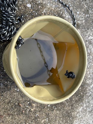 船橋港親水公園