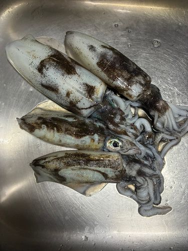 三厩湾