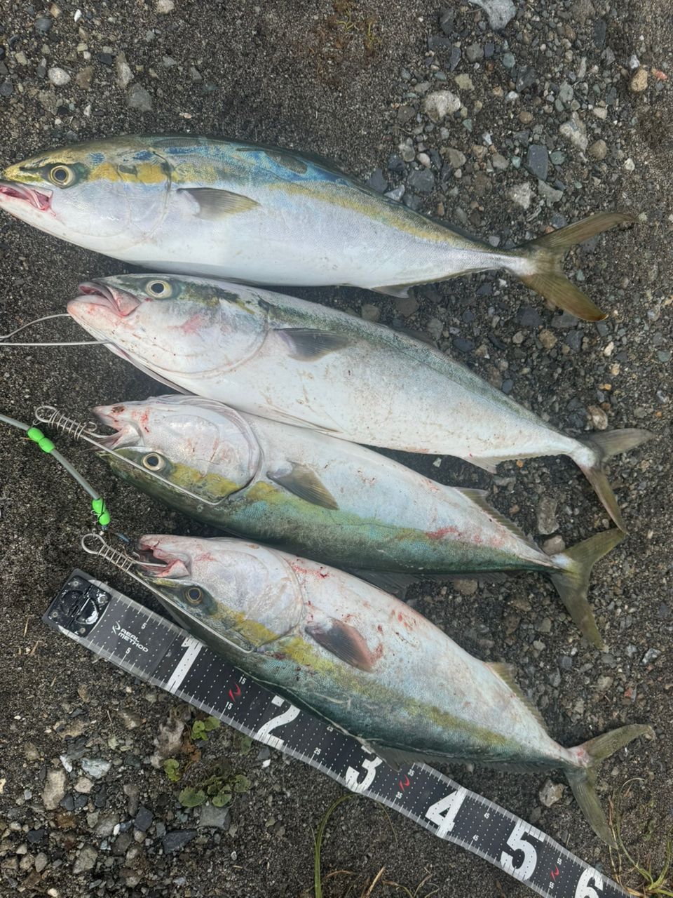 YAMAGA Blanks ブルースナイパー 100MHの最安値・インプレ・釣果