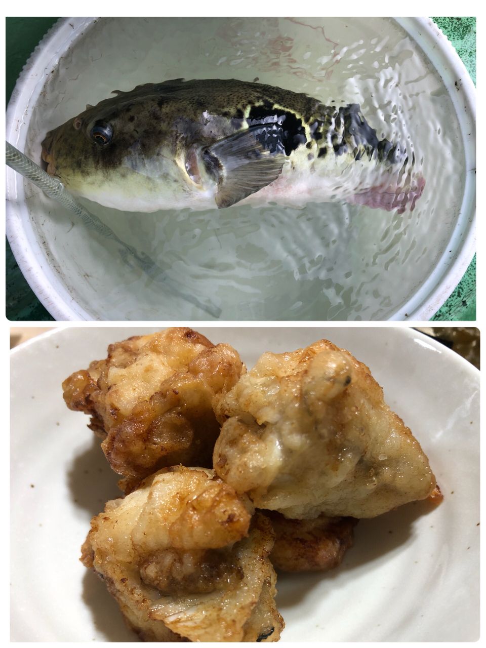 Tsuritter1972さんの釣果 3枚目の画像