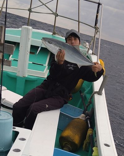 ワラサの釣果