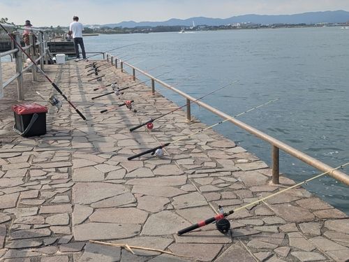 新居海釣公園