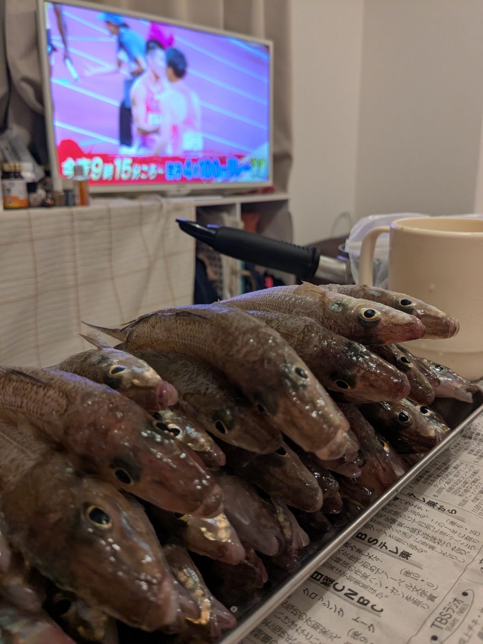 アングラー0139596アキャリさんの釣果 2枚目の画像