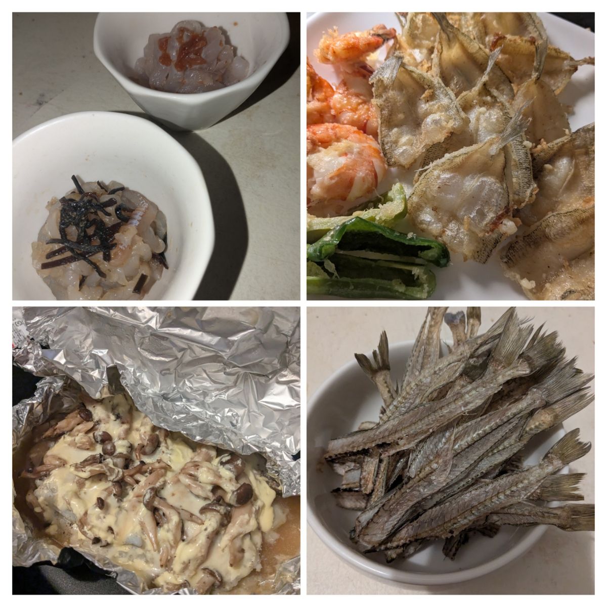 アングラー0139596アキャリさんの釣果 3枚目の画像