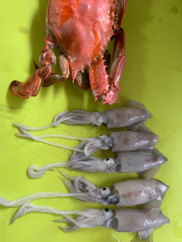 小樽港