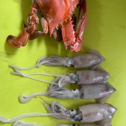 マメイカ