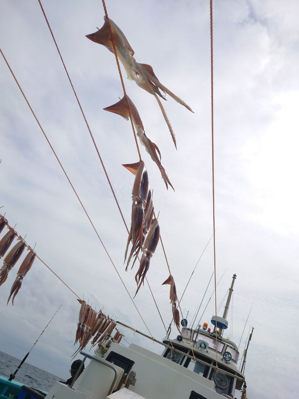 HIDECKEYさんの釣果 3枚目の画像