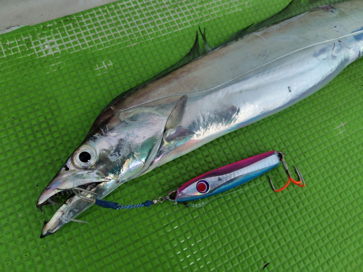 釣りばっか@お103さんの釣果 2枚目の画像