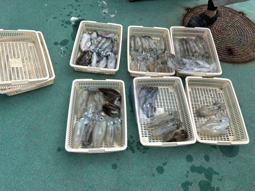 しまなみ海道