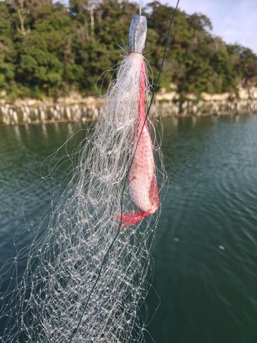 宮戸島