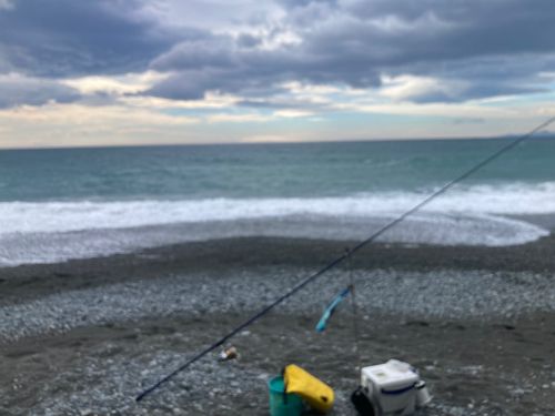 国府津海岸