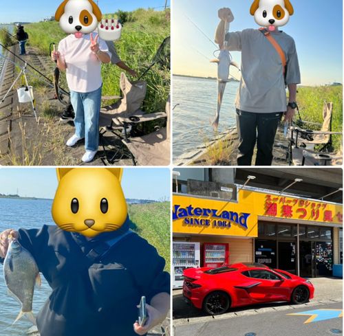 アメリカナマズの釣果