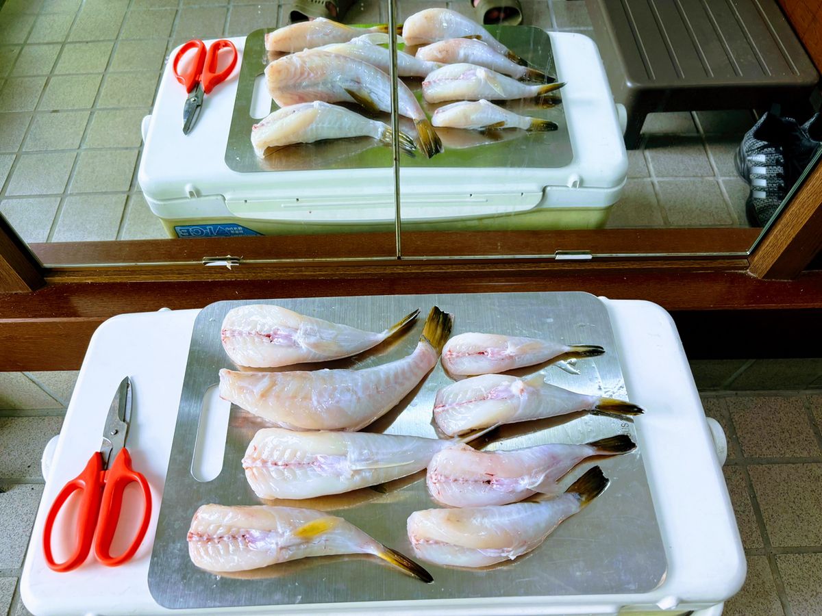 釣り好きG Gさんの釣果 1枚目の画像