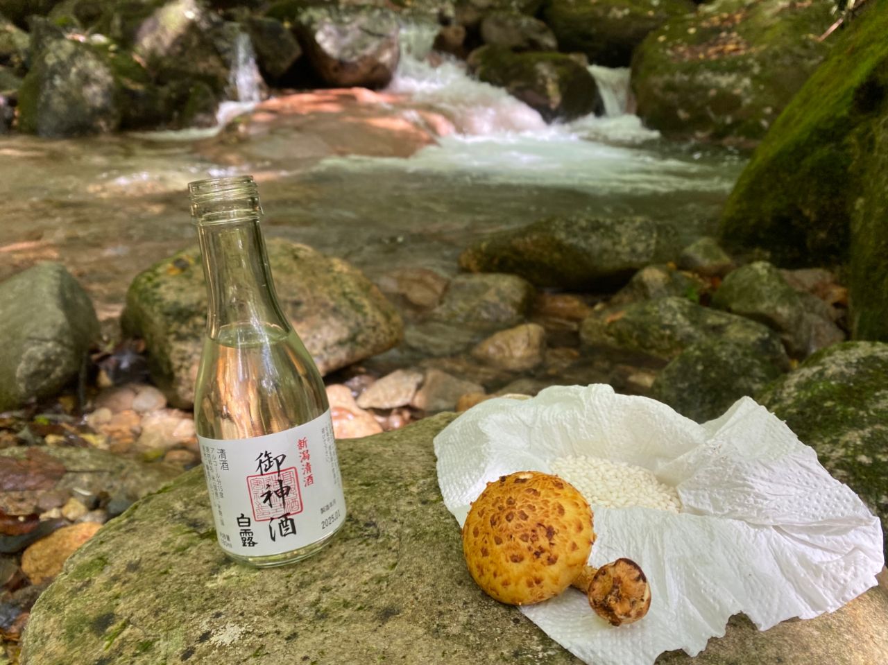 イワナ