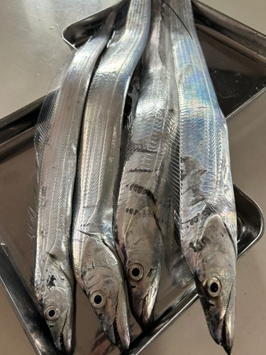 豊浜漁港