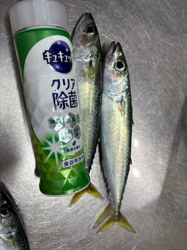 唐丹湾