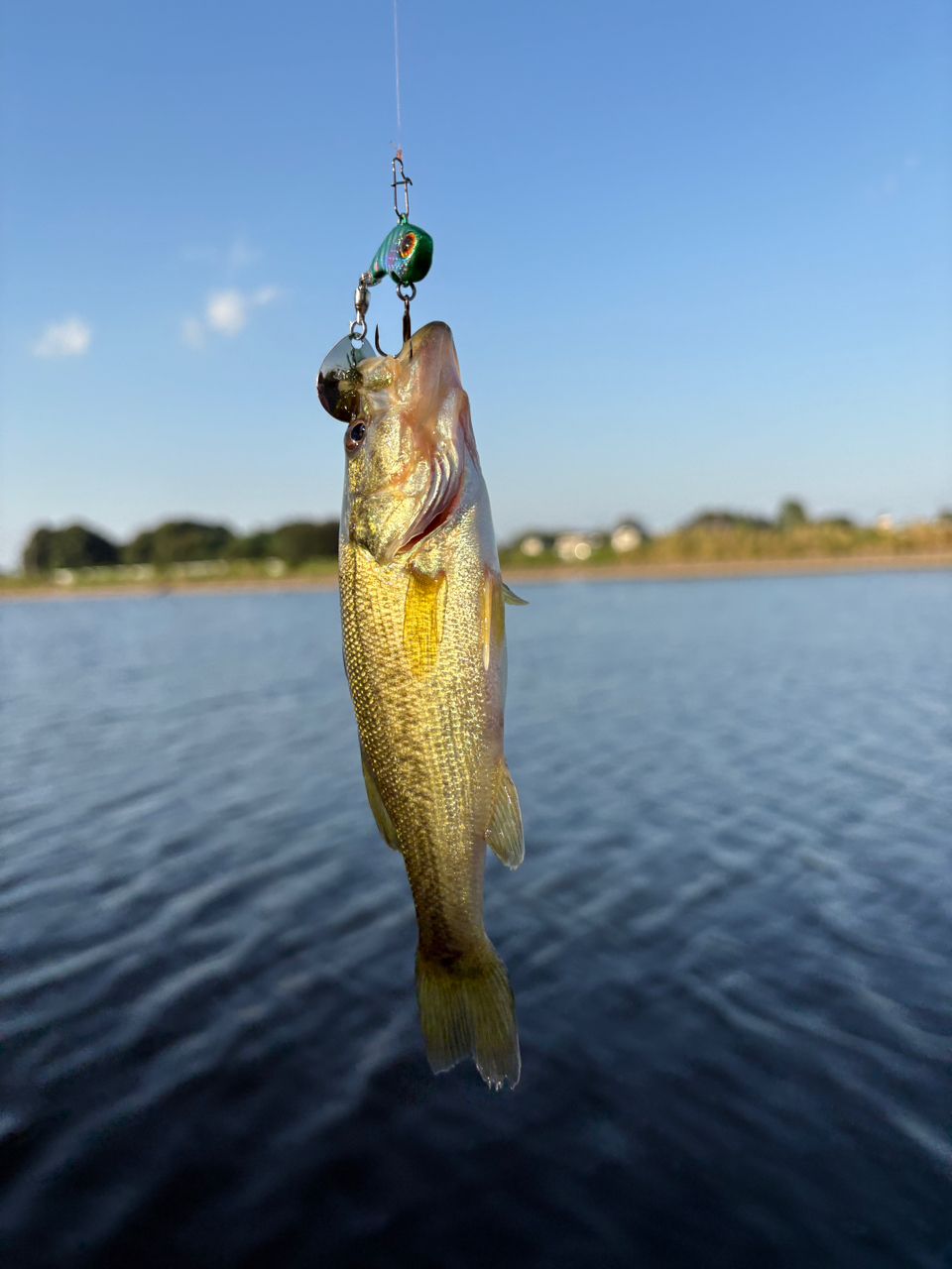 ダイワ スティーズ 21ハーミット C64L-SV•ST 保証有 極美品 21スティーズ C64L-SV・ST ハーミット ダイワ : シマヤ