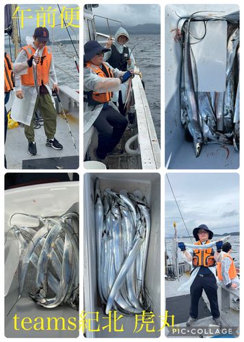 タチウオの釣果