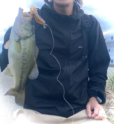 秋田県南部