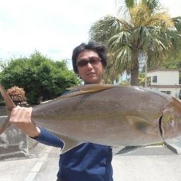 ヒレナガカンパチ