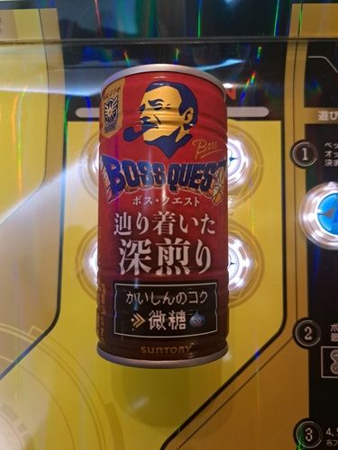 マナマズの釣果