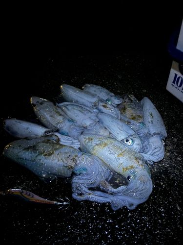 大蔵海岸