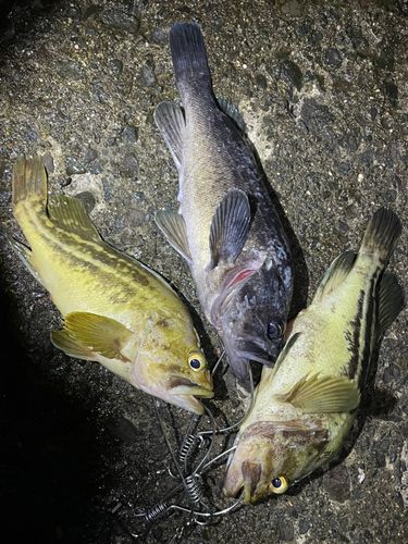 噴火湾