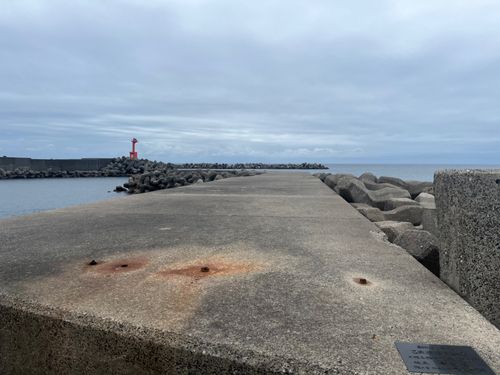 アカメバルの釣果