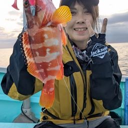 オオモンハタ