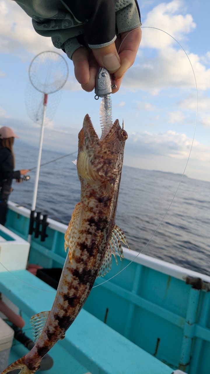 さゆりーぬさんの釣果 1枚目の画像