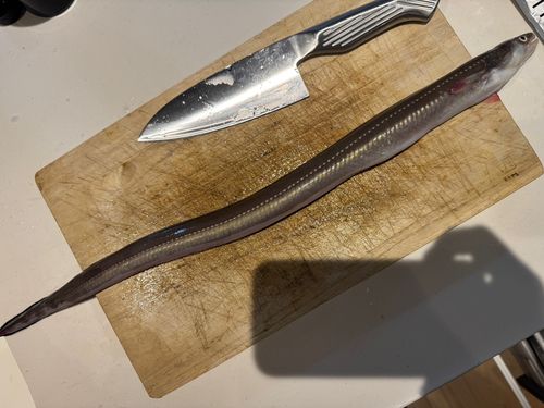 本牧海づり施設