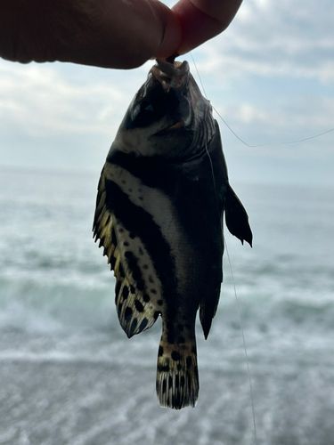 二宮海岸