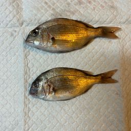 チャリコ