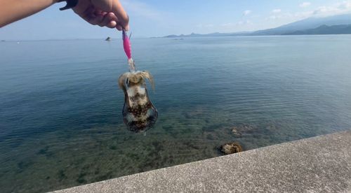 白石ノ鼻